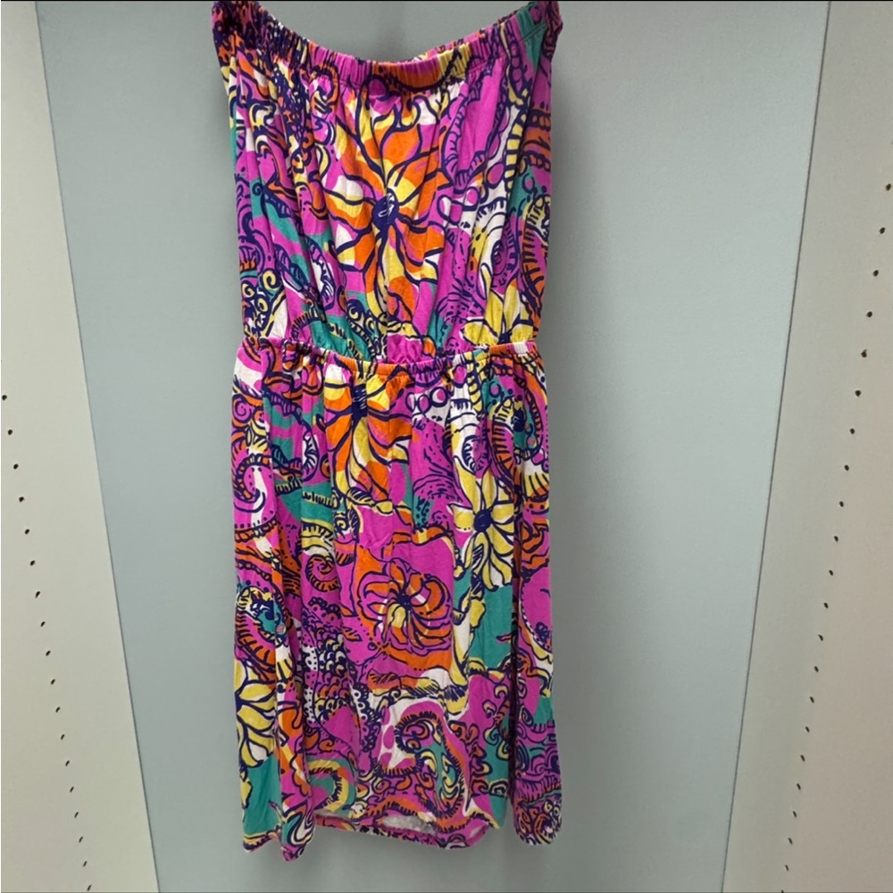 Lilly Pulitzer See and Be Seen Windsor Dress, EUC, S